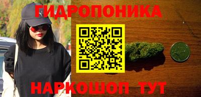 прущие грибы Нарткала
