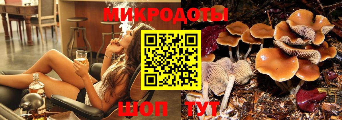 Печора  Галлюциногенные грибы Psilocybe  Вход с VPN  Псилоцибиновые грибы Psilocybe 